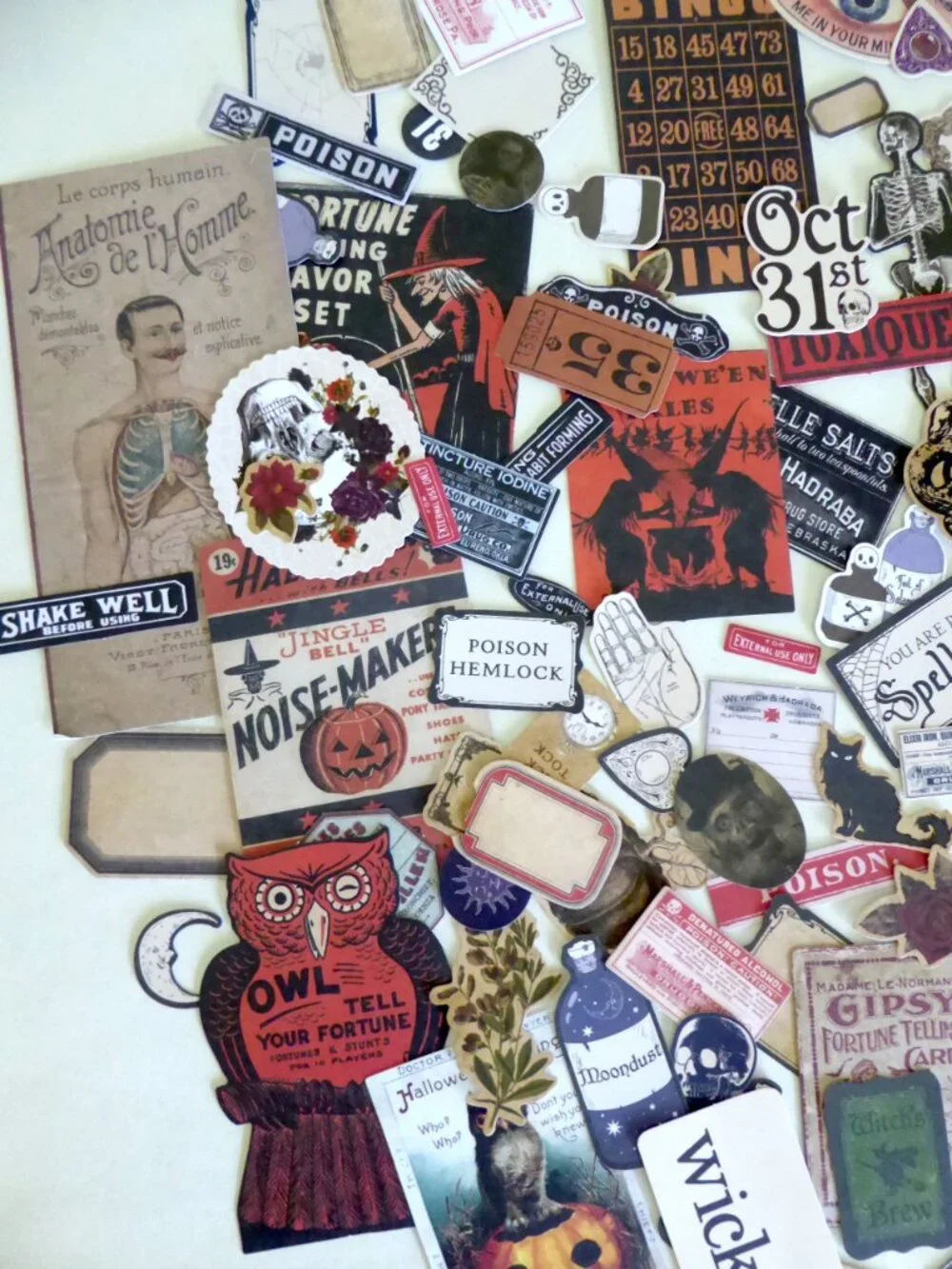 Tim Holtz new never